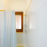 L'angolo Di Sara *